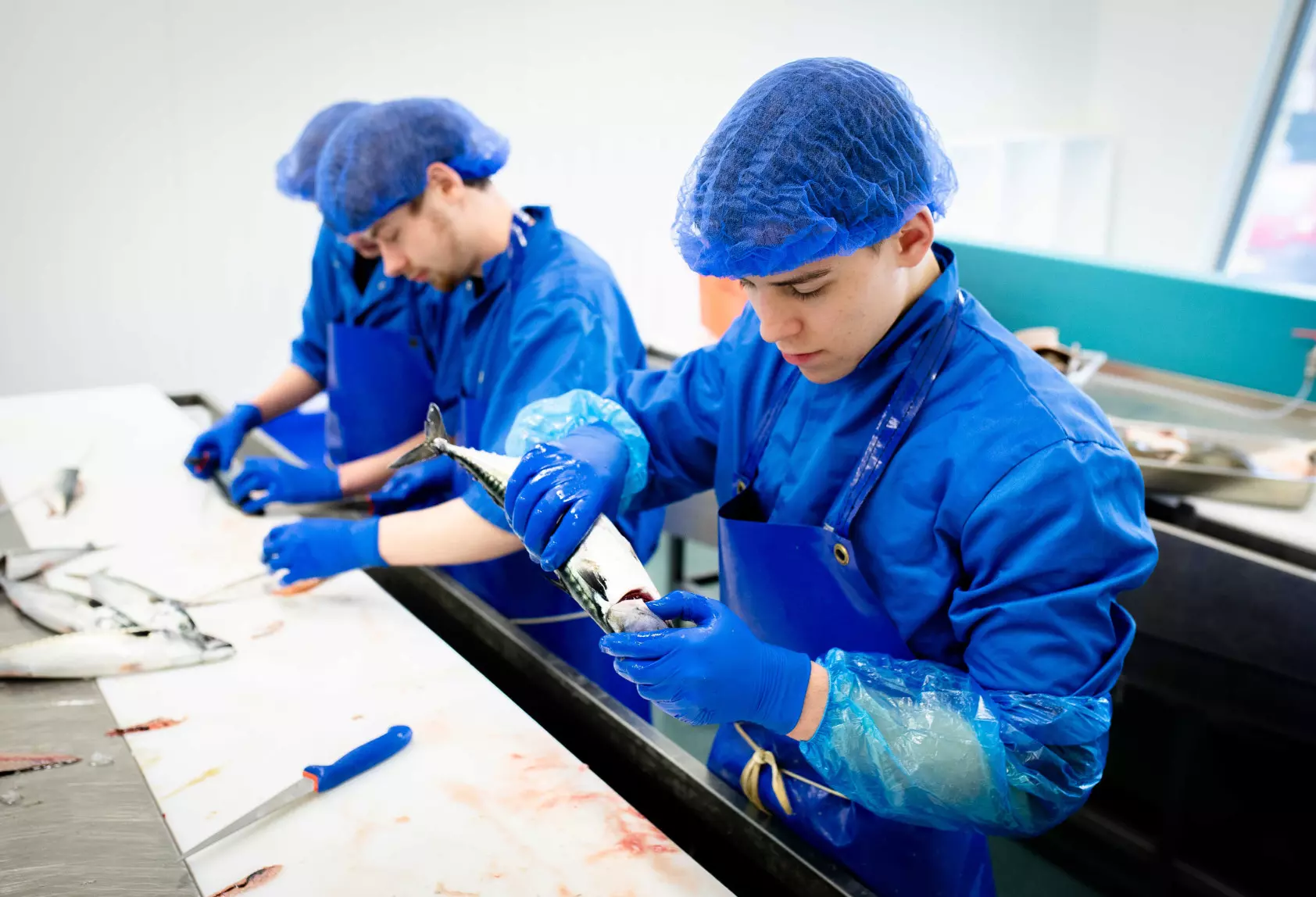 Medewerker versindustrie