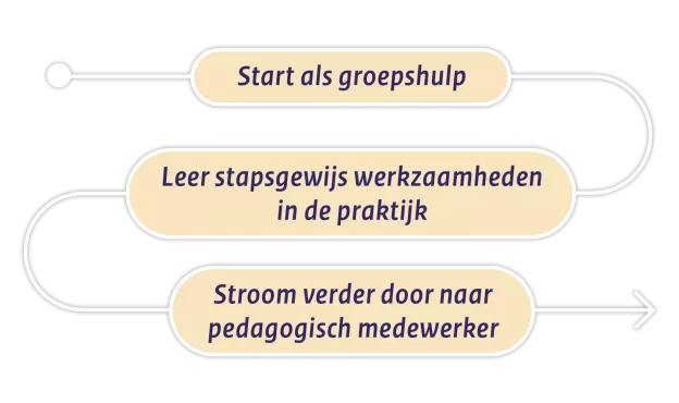 schema_ontwikkelpad